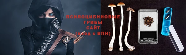 меф Горно-Алтайск