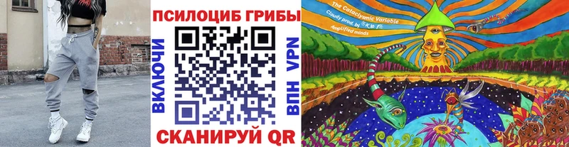 ОМГ ОМГ ТОР  Нея  Галлюциногенные грибы мицелий  цена  